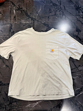 Carhartt Workwear Short Sleeve Pocket T-Shirt in light green